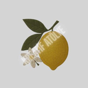 Mozaik Sanat Kiti: Limon